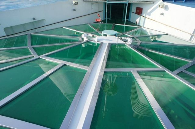 napoleon bonaparte verrière piscine vue arrière